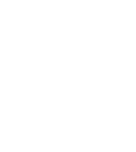 2010 Best In Show